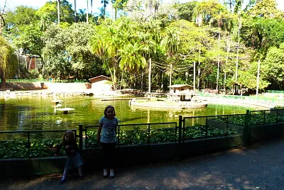 Campinas