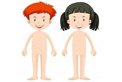 QUEBRA-CABEÇA DO CORPO HUMANO jigsaw puzzle