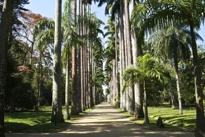 Rio de Janeiro - Brasil