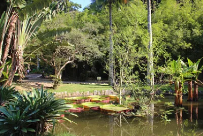 Rio de Janeiro - Brasil