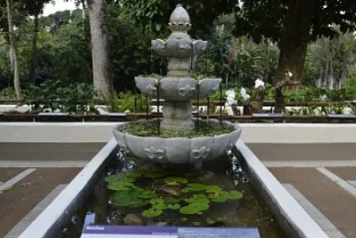 Rio de Janeiro - Brasil