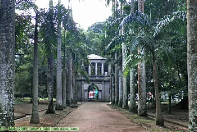 Rio de Janeiro - Brasil