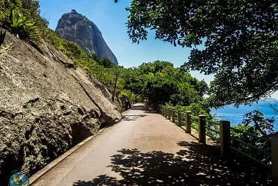 Rio de Janeiro - Brasil