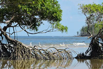paisagem