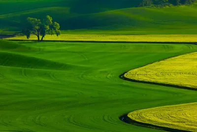 A139
