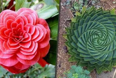 geometría artística