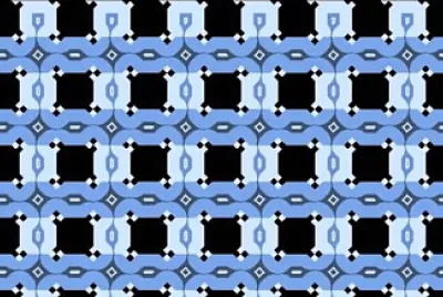 perceptual illusion 2