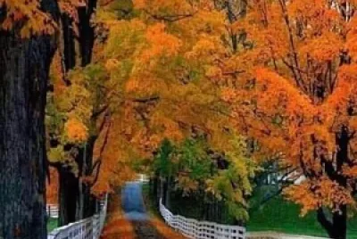 Otoño 2 jigsaw puzzle