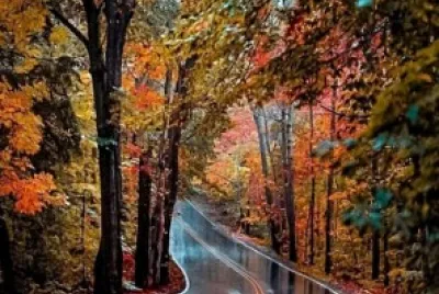 Otoño 1 jigsaw puzzle