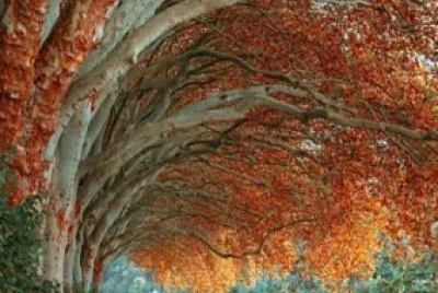 Tunel de aboles Alemania