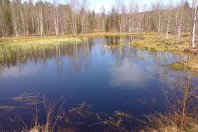 Les Ponts-de-Martel tourbières2