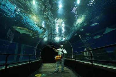 Rio de Janeiro - Brasil