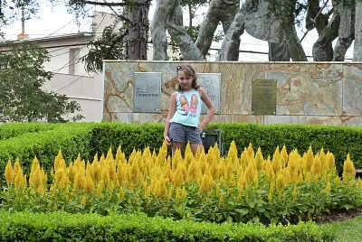 jardim colorido jigsaw puzzle