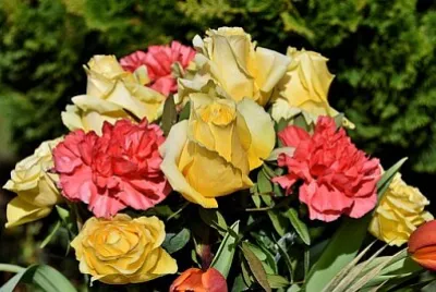 Foto jigsaw puzzle