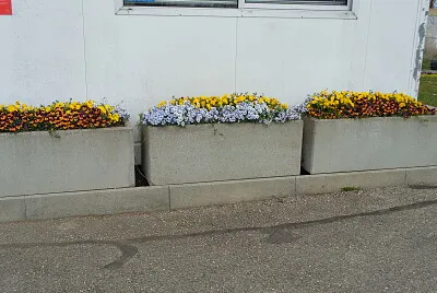 Cortaillod capitainerie