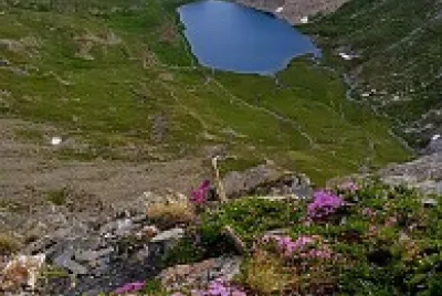 paysage