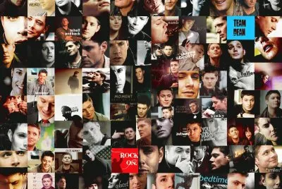  jigsaw puzzle