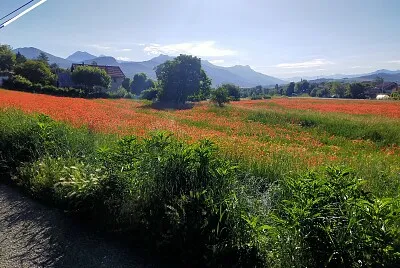 paysage