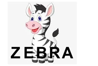 Z