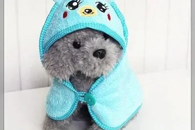 פאזל של perrito bueno y lindo y jugueton