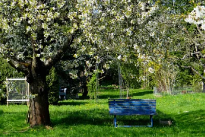 Frühling im Park