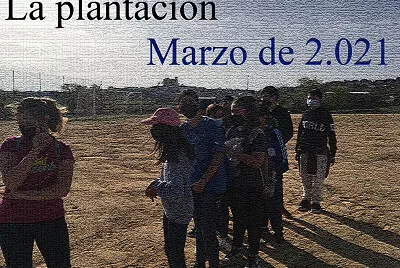 Plantación 02