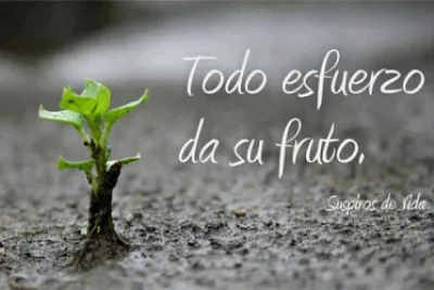 frases
