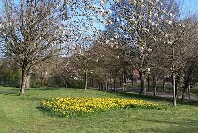 Spring jigsaw puzzle