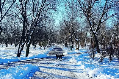 imagem jigsaw puzzle