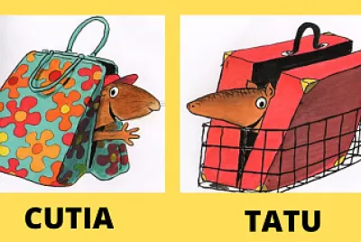 Suporte para a tarefa 1