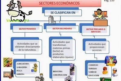 ACTIVIDADES