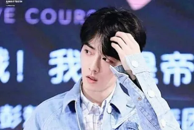 Chinese actor  Xiao Zhan