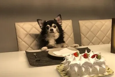 Nick comemorando 10 anos