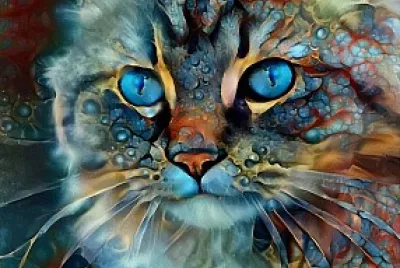 Chat aux yeux bleus