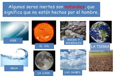 seres inertes