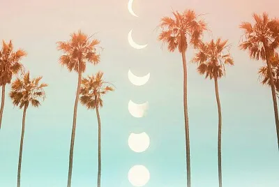 Fases da lua