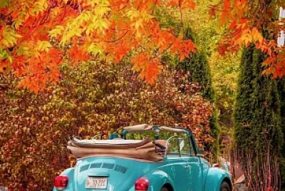 Fusca
