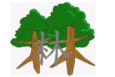 生字 jigsaw puzzle