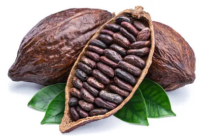 Cacao