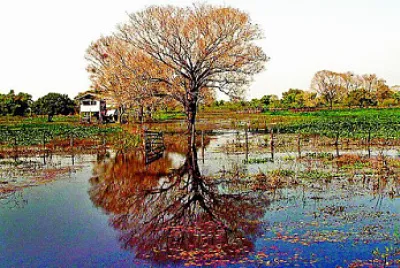 OUTONO jigsaw puzzle