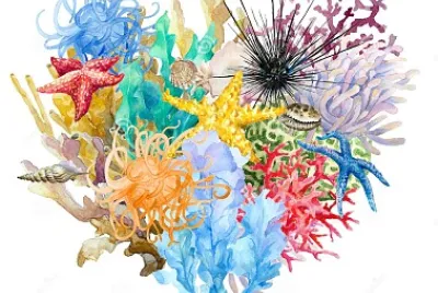 Anemones de mer jigsaw puzzle