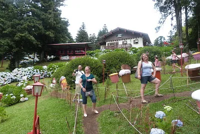 Hortênsia
