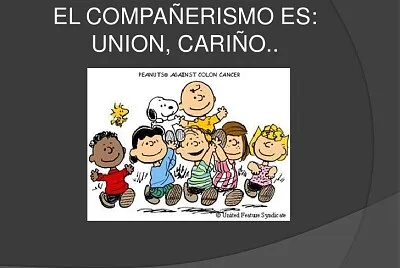 Arma el rompecabezas sobre el compañerismo