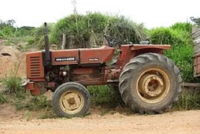 Foto