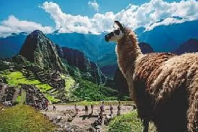 Foto