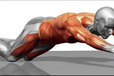 5to Abdominales
