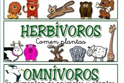 ANIMALES SEGUN SU ALIMENTACIÓN