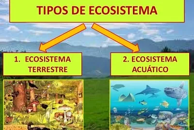CLASES DE ECOSISTEMAS