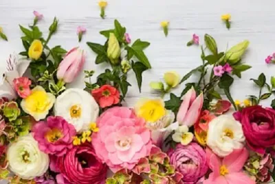 Foto jigsaw puzzle