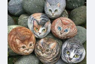 piedras